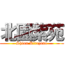 北園紫苑 (Shion Kitazono)