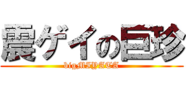震ゲイの巨珍 (bigMIYATA)