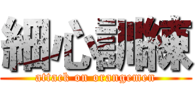 細心訓練 (attack on orangemen)