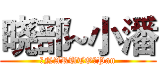 晓部~小潘 (【NARUTO】Pan)