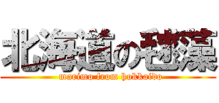 北海道の毬藻 (  marimo from hokkaido)