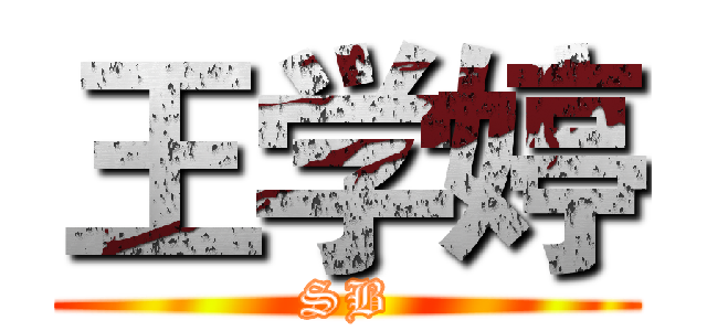 王学婷 (SB)