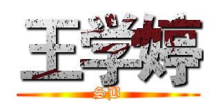 王学婷 (SB)