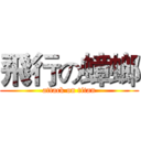 飛行の蟑螂 (attack on titan)