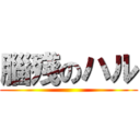 腦殘のハル ()