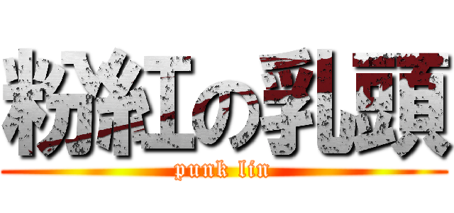 粉紅の乳頭 (punk lin)