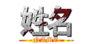 姓名 (NAME)