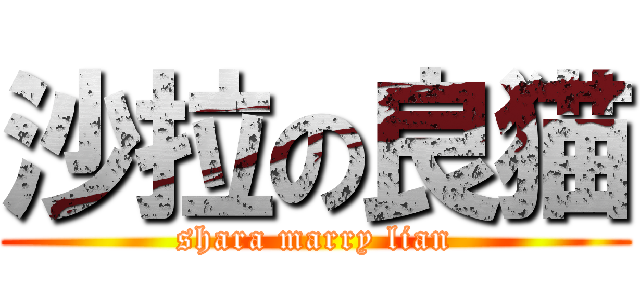 沙拉の良猫 (shara marry lian)