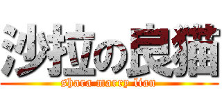 沙拉の良猫 (shara marry lian)