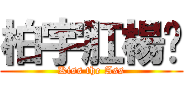 柏宇肛楊灝 (Kiss the Ass)