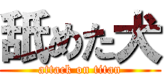 舐めた犬 (attack on titan)