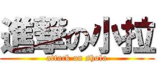 進撃の小拉 (attack on shola)