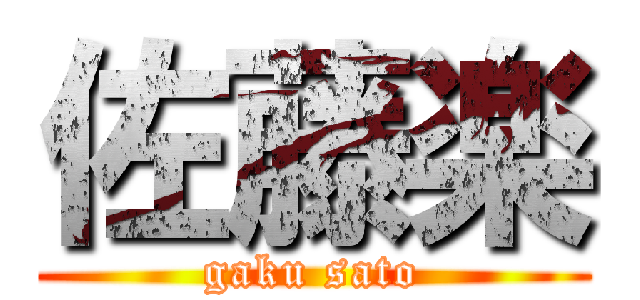佐藤楽 (gaku sato)