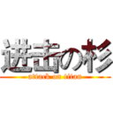 进击の杉 (attack on titan)