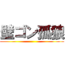 壁ゴン孤狼 ()