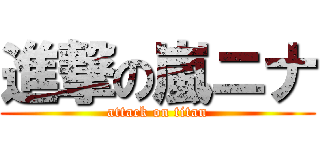 進撃の嵐ニナ (attack on titan)
