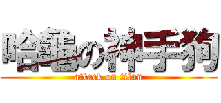哈龜の神手狗 (attack on titan)