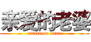 亲爱的老婆 (attack on titan)