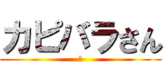 カピバラさん (