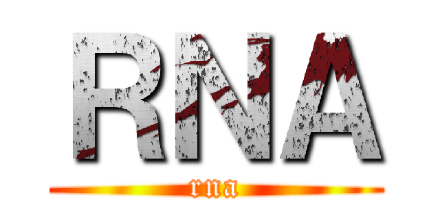 ＲＮＡ (rna)