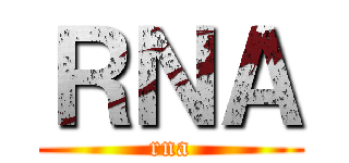 ＲＮＡ (rna)