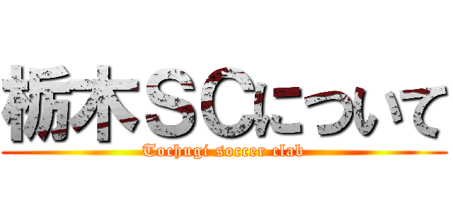 栃木ＳＣについて (Tochugi soccer clab)