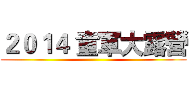 ２０１４ 童軍大露營 ()