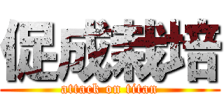 促成栽培 (attack on titan)
