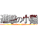 進擊の小雞 (attack on chick)