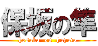 保坂の隼 (hosaka  on  hayato)