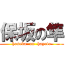 保坂の隼 (hosaka  on  hayato)