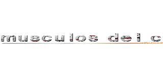 ｍｕｓｃｕｌｏｓ ｄｅｌ ｃｕｅｒｐｏ ｈｕｍａｎｏ  (attack on titan)