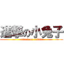 進撃の小兔子 (attack on rabbit)