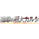 進撃の巨大カルタ (attack on titan)