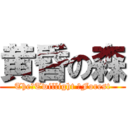 黄昏の森 (The　Twillight 　Forest)