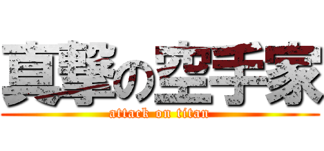 真撃の空手家 (attack on titan)