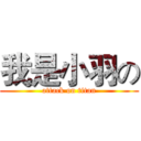 我是小羽の (attack on titan)