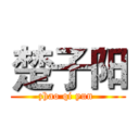 楚子阳 (zhao qi yun )