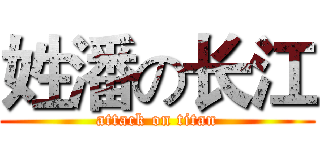 姓潘の长江 (attack on titan)