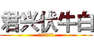 君兴伏牛白 (郑州市泰利酒业)