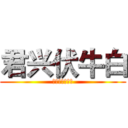 君兴伏牛白 (郑州市泰利酒业)