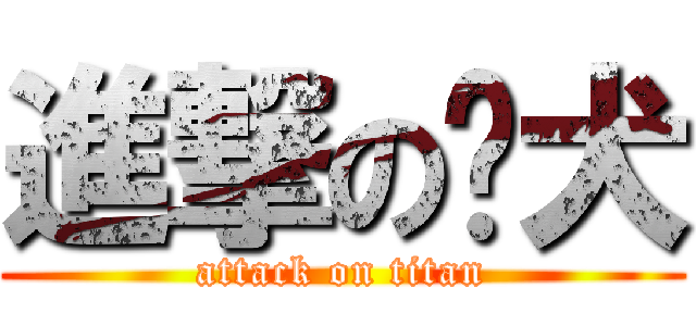 進撃の貓犬 (attack on titan)