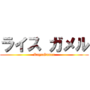 ライス ガメル (RayxGamer)
