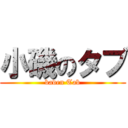 小磯のタブ (baden Tab)