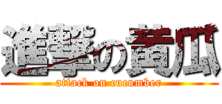 進撃の黄瓜 (attack on cucumber)
