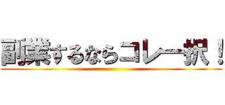 副業するならコレ一択！ ()