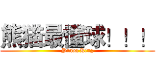 熊猫最懂球！！！ (Panda King)