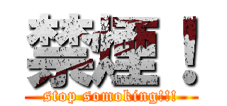 禁煙！ (stop somoking!!!)