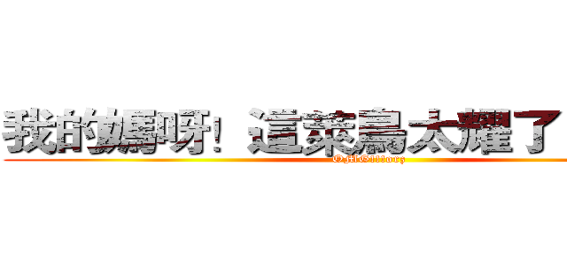 我的媽呀！這萊鳥太耀了！ＱＡＱ (OMG!!!orz)