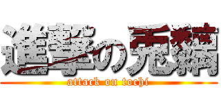 進撃の兎黐 (attack on tochi)